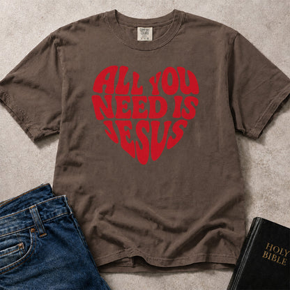 All You Need Is Jesus T-Shirt